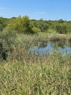 Unimproved Land For Sale in Coleman County , 912 O D Lane, Coleman, Texas 76834, 0, 0, Garage spaces, 0 Sqft, built in 0, Price $219,900, mls#21360131, Real Estate Agent in Coleman, Homes For Sale in Coleman county, Homes For Sale in Coleman, Realtor in Coleman Texas, Real Estate Brokerage Independent Realty Texas, Luminita Cordes Realtor