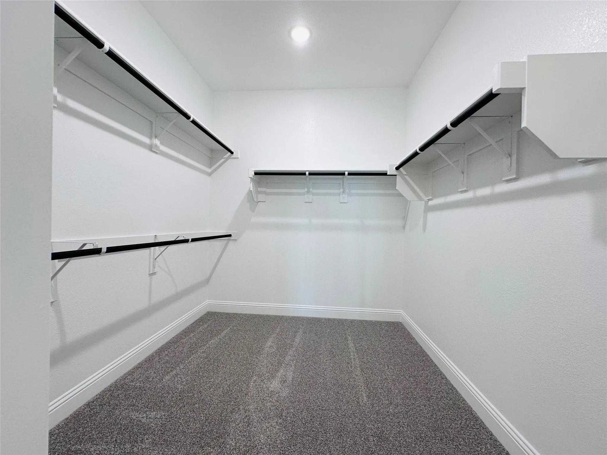 Spacious walk-in closet featuring multiple shelving units with metal brackets, a carpeted floor, recessed lighting, and white walls providing ample storage and organization options