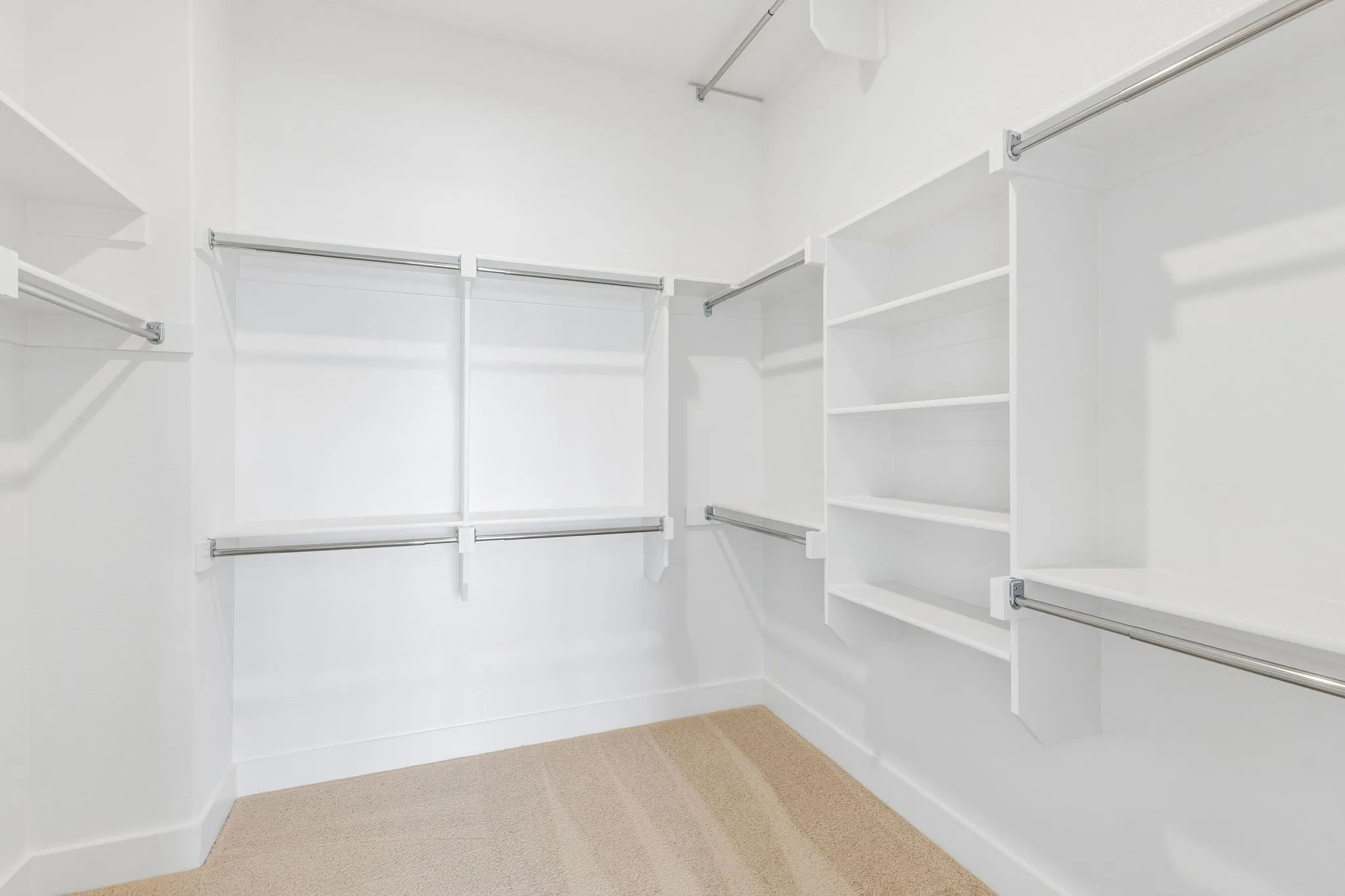 Walk-in closet featuring white built-in shelving, multiple hanging rods, and carpet flooring