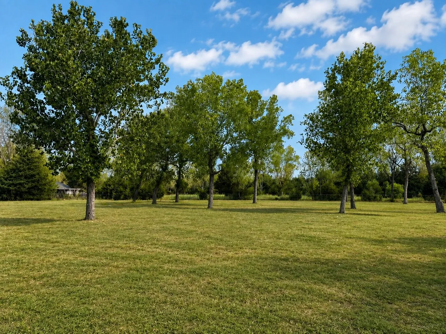 Unimproved Land For Sale in Ellis County , TBD Sunrise Court, Palmer, Texas 75152, 0, 0, Garage spaces, 0 Sqft, built in 0, mls#21359787, Real Estate Agent in Palmer, Homes For Sale in Ellis county, Homes For Sale in Palmer, Realtor in Palmer Texas, Real Estate Brokerage Independent Realty Texas, Luminita Cordes Realtor