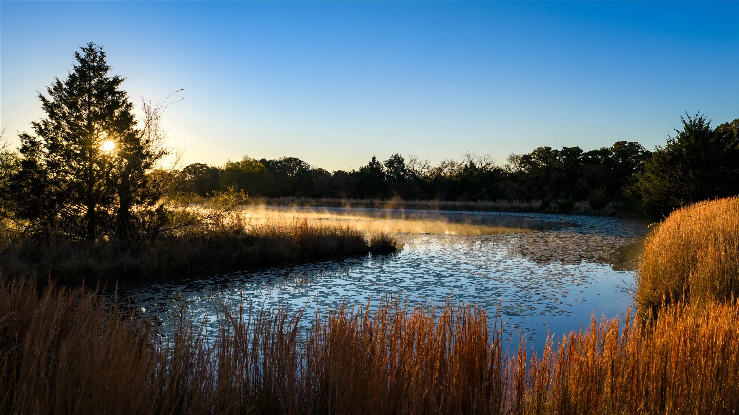 Improved Land For Sale in Cooke County , 1210A County Road 232, Collinsville, Texas 76233, 0, 0, Garage spaces, 0 Sqft, built in 2005, Price $6,000,000, mls#21359977, Real Estate Agent in Collinsville, Homes For Sale in Cooke county, Homes For Sale in Collinsville, Realtor in Collinsville Texas, Real Estate Brokerage Independent Realty Texas, Luminita Cordes Realtor