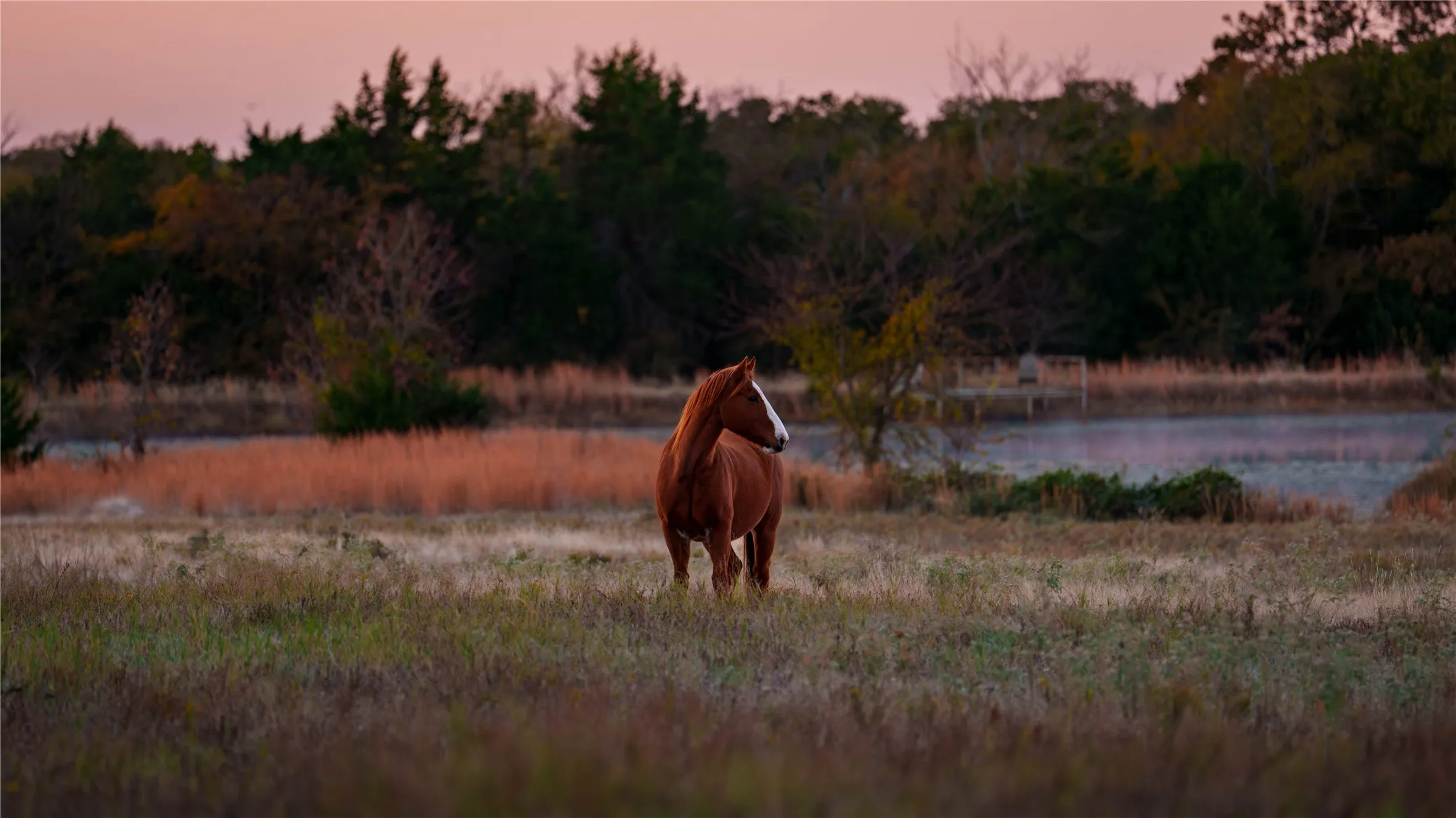 Improved Land For Sale in Cooke County , 1210A County Road 232, Collinsville, Texas 76233, 0, 0, Garage spaces, 0 Sqft, built in 2005, Price $6,000,000, mls#21359977, Real Estate Agent in Collinsville, Homes For Sale in Cooke county, Homes For Sale in Collinsville, Realtor in Collinsville Texas, Real Estate Brokerage Independent Realty Texas, Luminita Cordes Realtor
