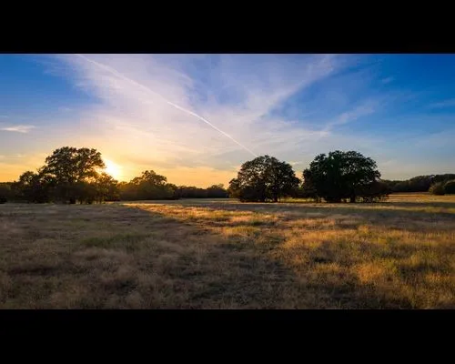 Improved Land For Sale in Cooke County , 1210A County Road 232, Collinsville, Texas 76233, 0, 0, Garage spaces, 0 Sqft, built in 2005, Price $6,000,000, mls#21359977, Real Estate Agent in Collinsville, Homes For Sale in Cooke county, Homes For Sale in Collinsville, Realtor in Collinsville Texas, Real Estate Brokerage Independent Realty Texas, Luminita Cordes Realtor