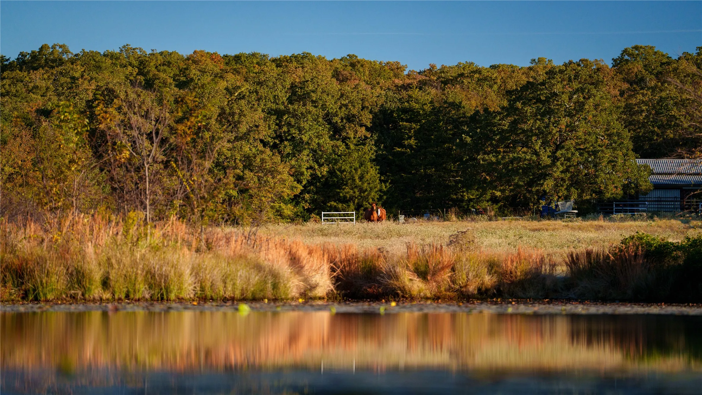 Improved Land For Sale in Cooke County , 1210A County Road 232, Collinsville, Texas 76233, 0, 0, Garage spaces, 0 Sqft, built in 2005, Price $6,000,000, mls#21359977, Real Estate Agent in Collinsville, Homes For Sale in Cooke county, Homes For Sale in Collinsville, Realtor in Collinsville Texas, Real Estate Brokerage Independent Realty Texas, Luminita Cordes Realtor