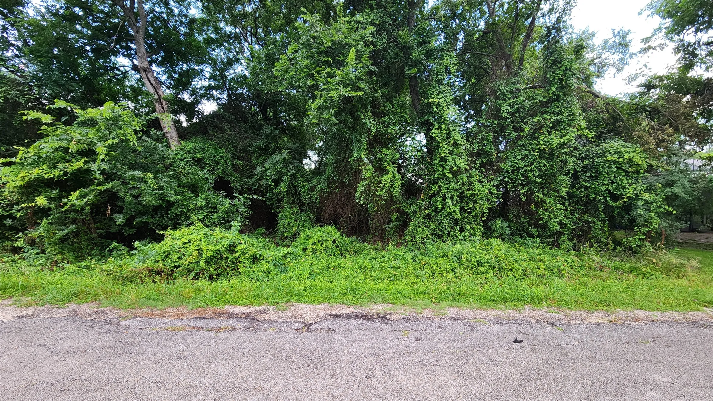 Unimproved Land For Sale in Hood County , 327 Capricorn Drive, Granbury, Texas 76049, 0, 0, Garage spaces, 0 Sqft, built in 0, Price $23,000, mls#21360302, Real Estate Agent in Granbury, Homes For Sale in Hood county, Homes For Sale in Granbury, Realtor in Granbury Texas, Real Estate Brokerage Independent Realty Texas, Luminita Cordes Realtor