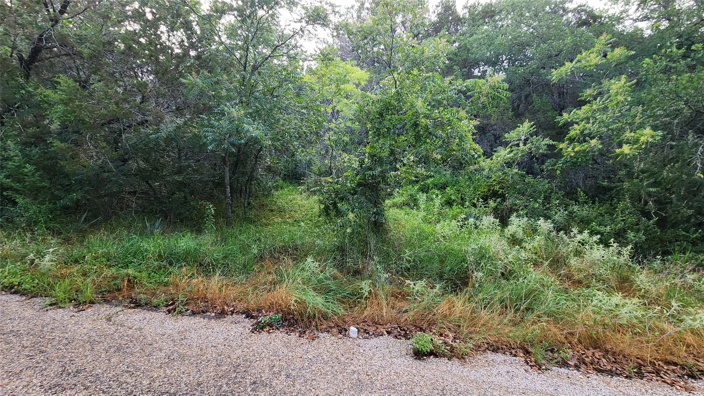 Unimproved Land For Sale in Hood County , 327 Capricorn Drive, Granbury, Texas 76049, 0, 0, Garage spaces, 0 Sqft, built in 0, Price $23,000, mls#21360302, Real Estate Agent in Granbury, Homes For Sale in Hood county, Homes For Sale in Granbury, Realtor in Granbury Texas, Real Estate Brokerage Independent Realty Texas, Luminita Cordes Realtor