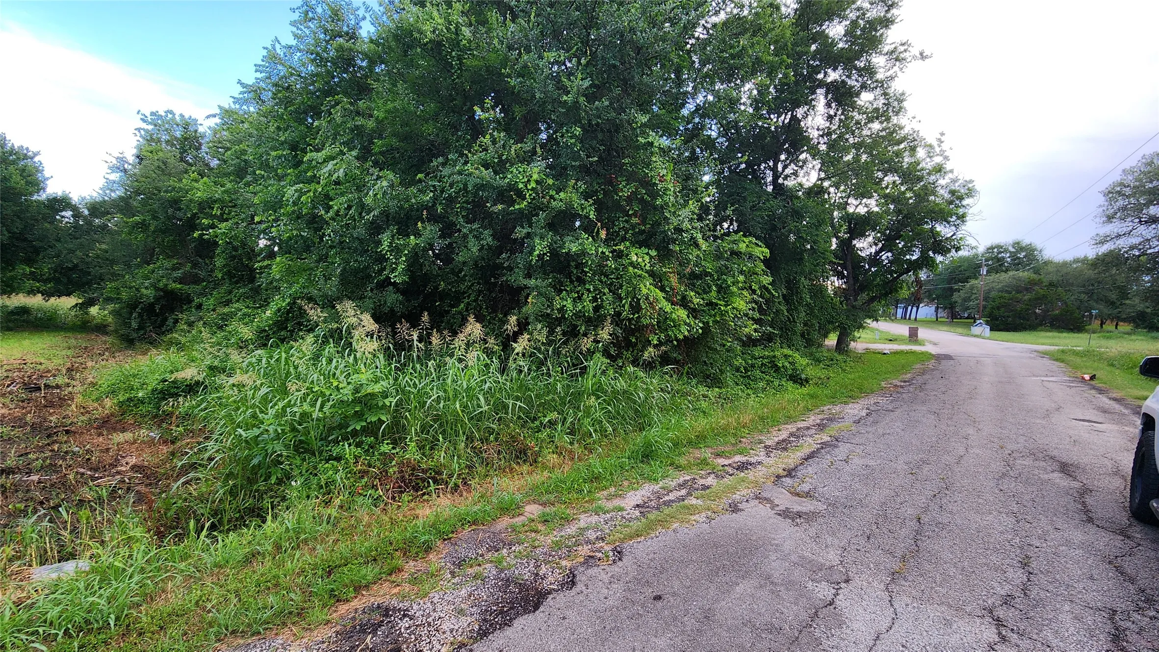 Unimproved Land For Sale in Hood County , 327 Capricorn Drive, Granbury, Texas 76049, 0, 0, Garage spaces, 0 Sqft, built in 0, Price $23,000, mls#21360302, Real Estate Agent in Granbury, Homes For Sale in Hood county, Homes For Sale in Granbury, Realtor in Granbury Texas, Real Estate Brokerage Independent Realty Texas, Luminita Cordes Realtor