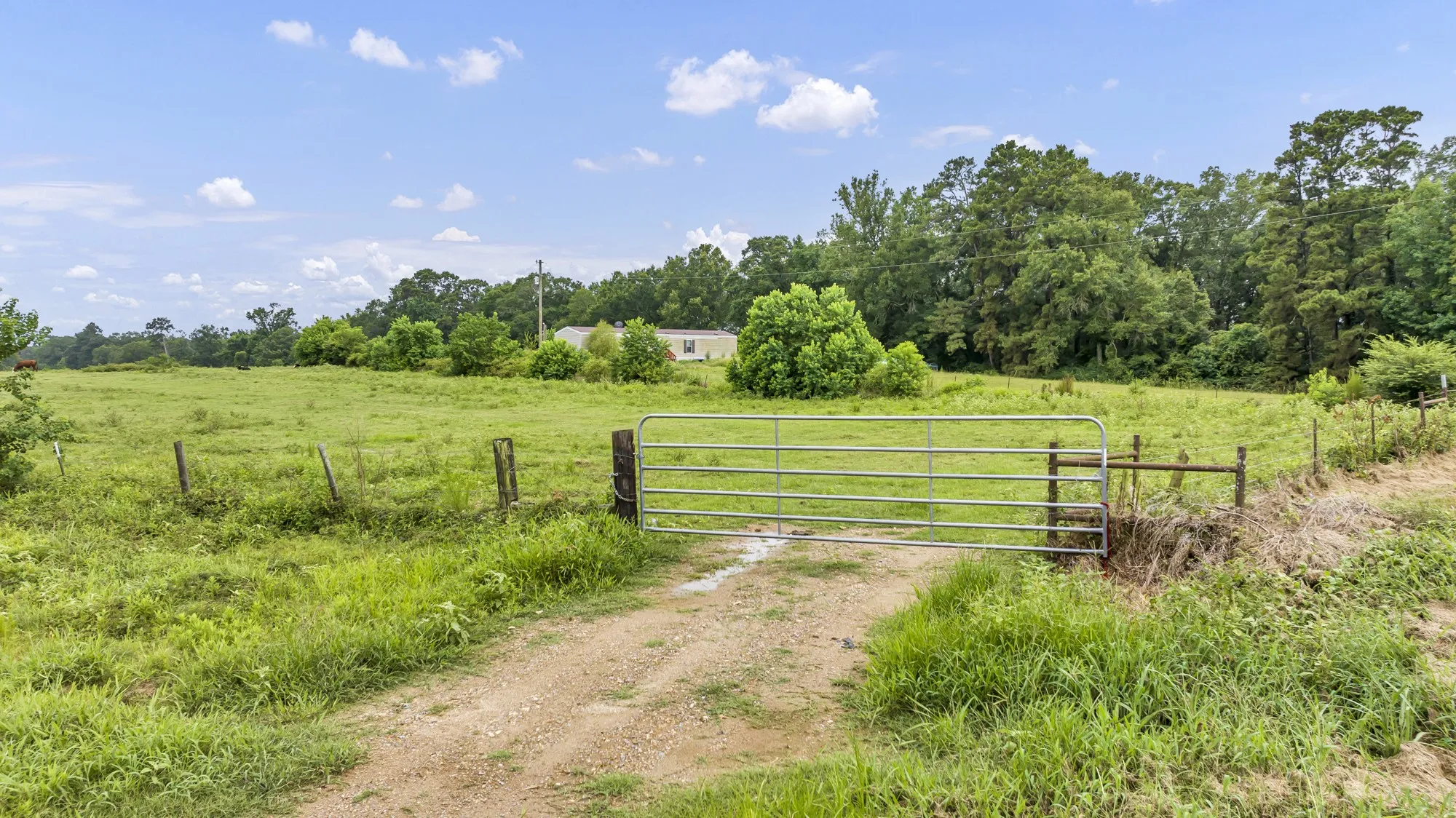 Unimproved Land For Sale in Panola County , TBD County Road 435, No City, Texas 75974, 0, 0, Garage spaces, 0 Sqft, built in 0, mls#21360307, Real Estate Agent in No City, Homes For Sale in Panola county, Homes For Sale in No City, Realtor in No City Texas, Real Estate Brokerage Independent Realty Texas, Luminita Cordes Realtor