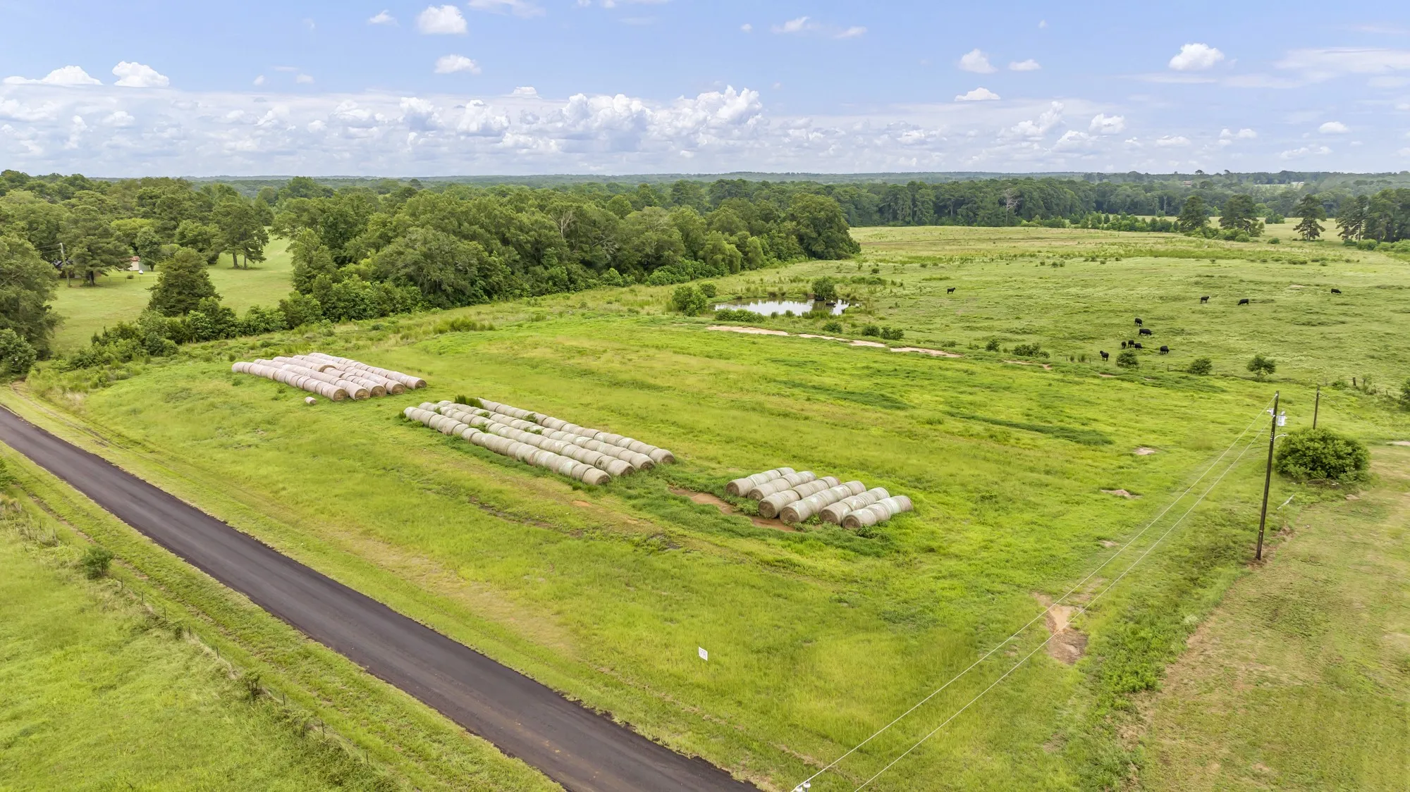 Expansive green landscape featuring a paved road, scattered trees, and two visible ponds