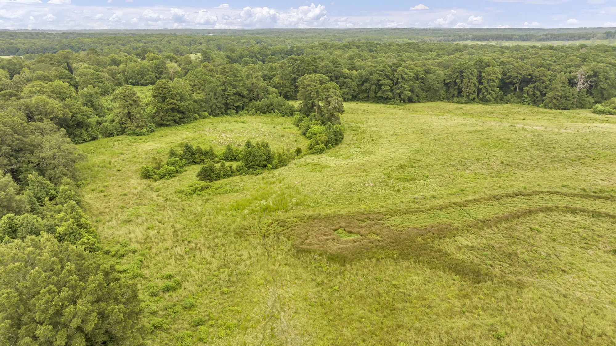 Expansive open land surrounded by mature trees
