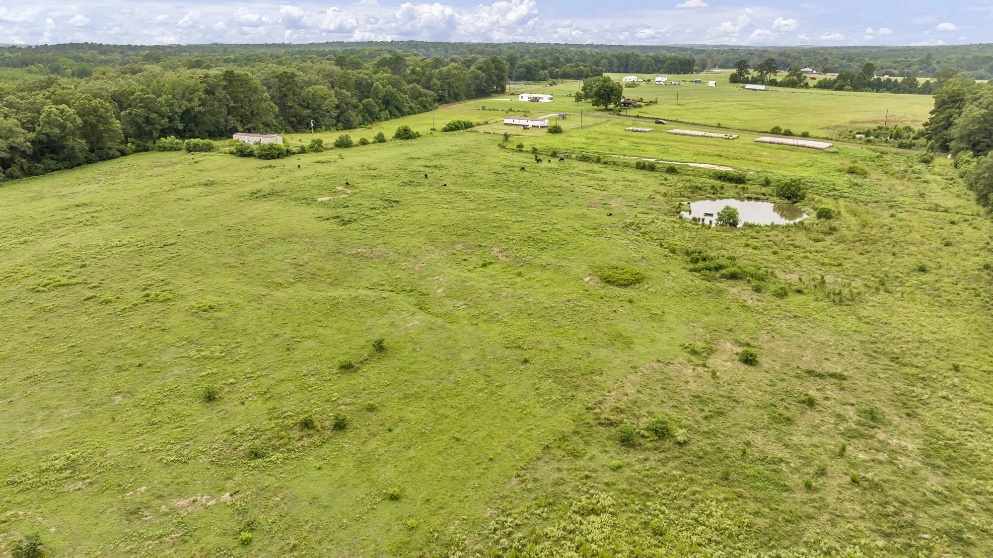 Expansive green fields, mature tree lines, and a visible pond