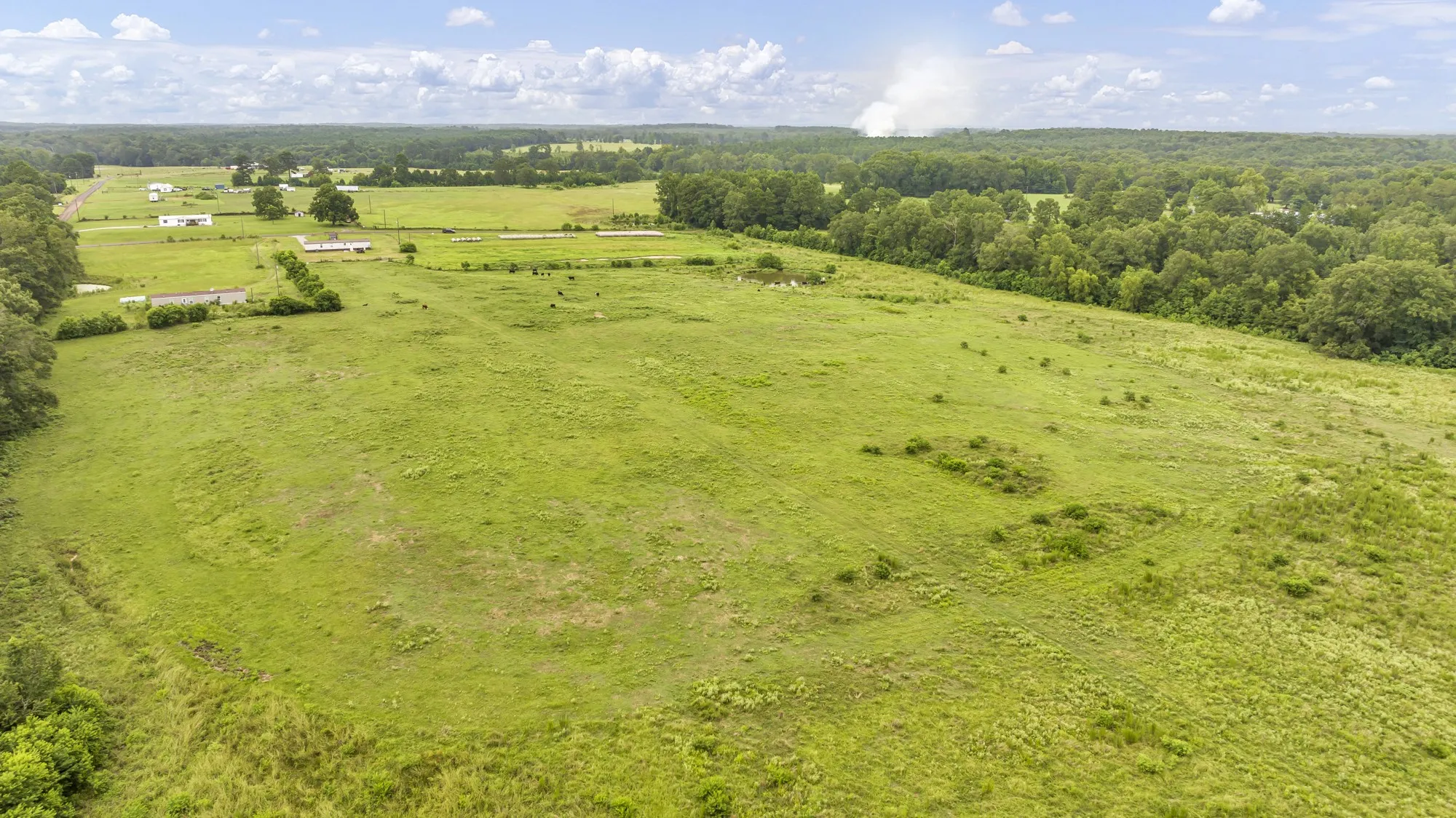 Expansive open pastureland featuring varied terrain and scattered trees