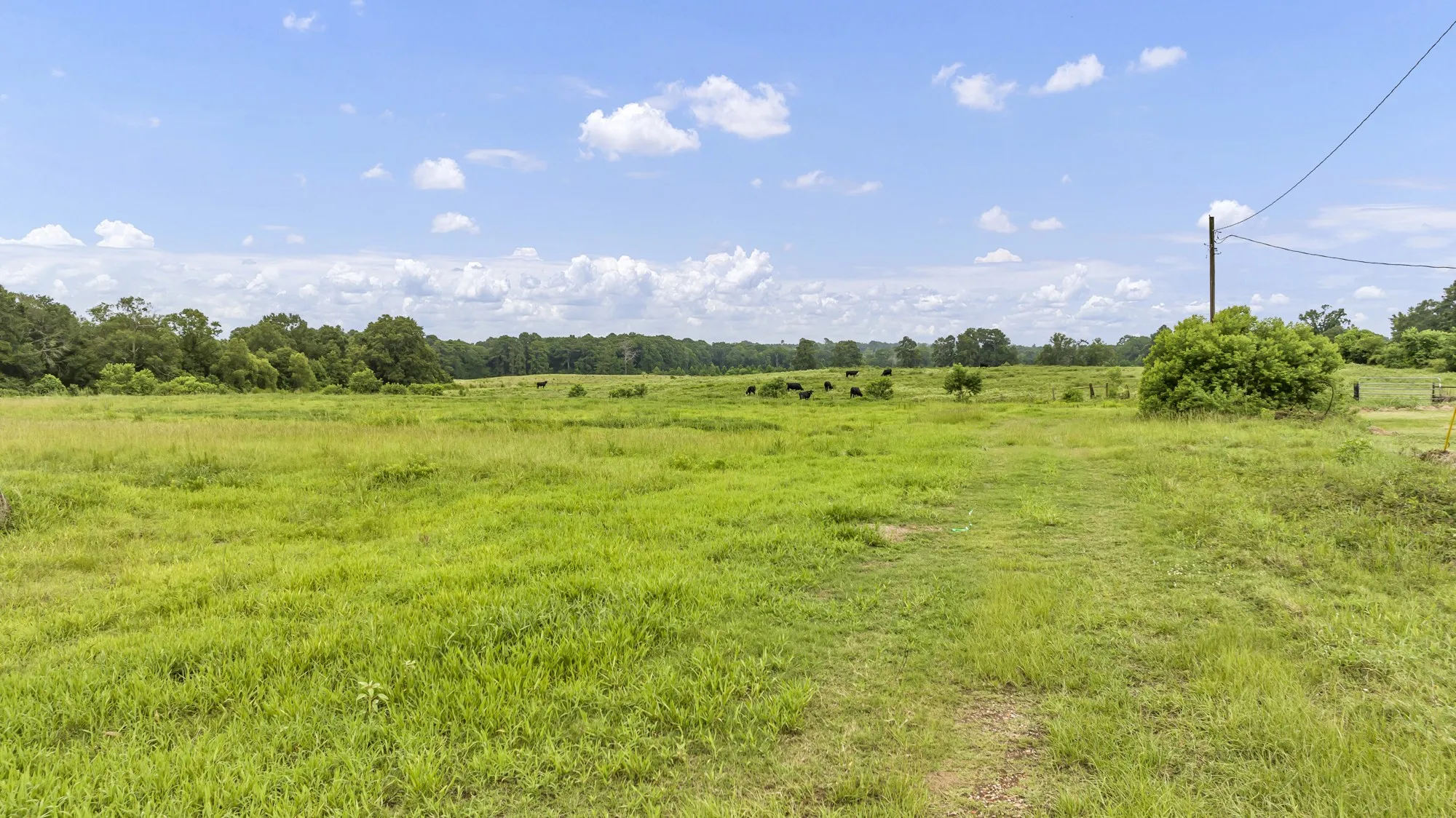Unimproved Land For Sale in Panola County , TBD County Road 435, No City, Texas 75974, 0, 0, Garage spaces, 0 Sqft, built in 0, mls#21360307, Real Estate Agent in No City, Homes For Sale in Panola county, Homes For Sale in No City, Realtor in No City Texas, Real Estate Brokerage Independent Realty Texas, Luminita Cordes Realtor