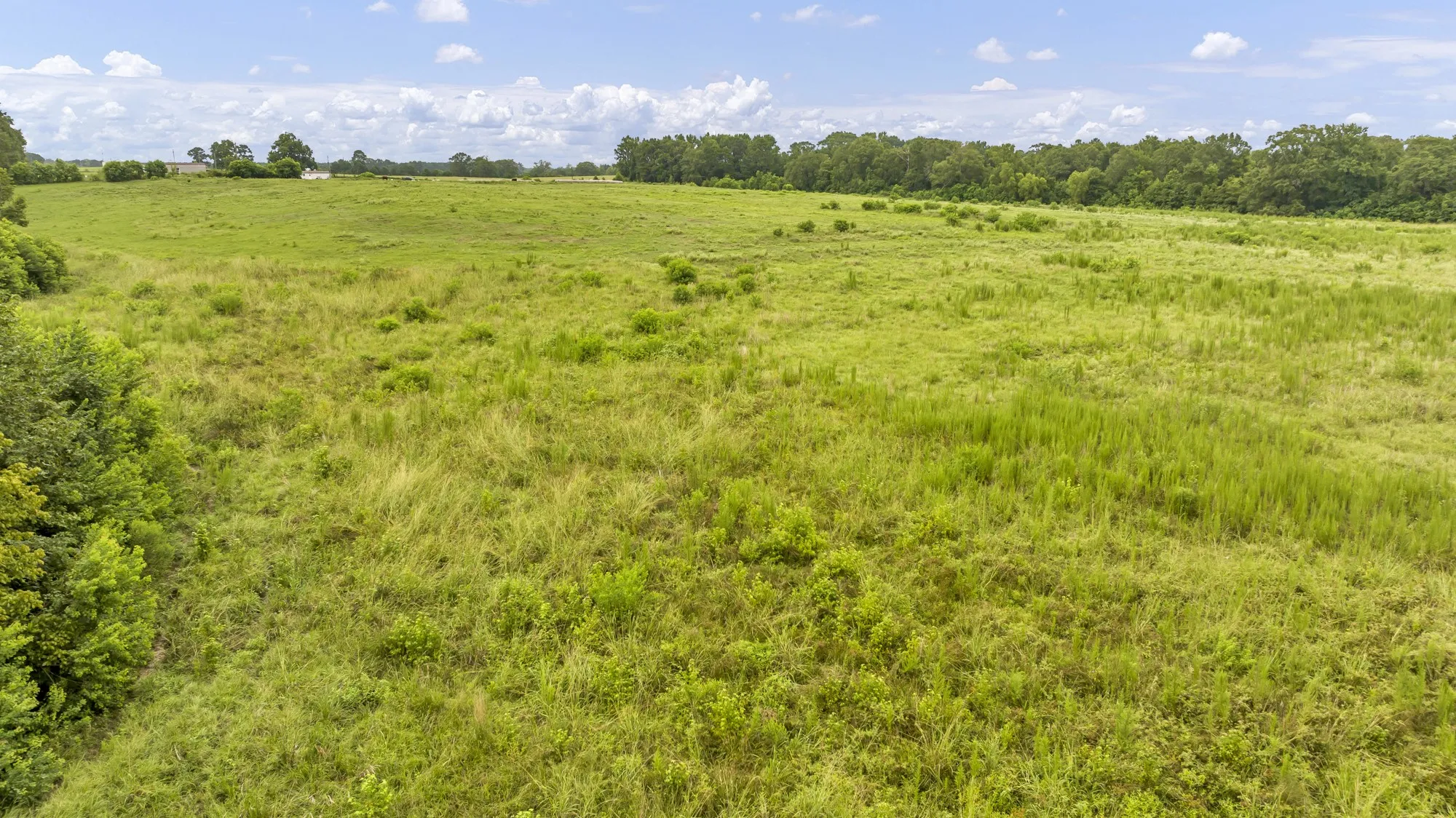 Expansive land parcel with open fields and distant tree lines