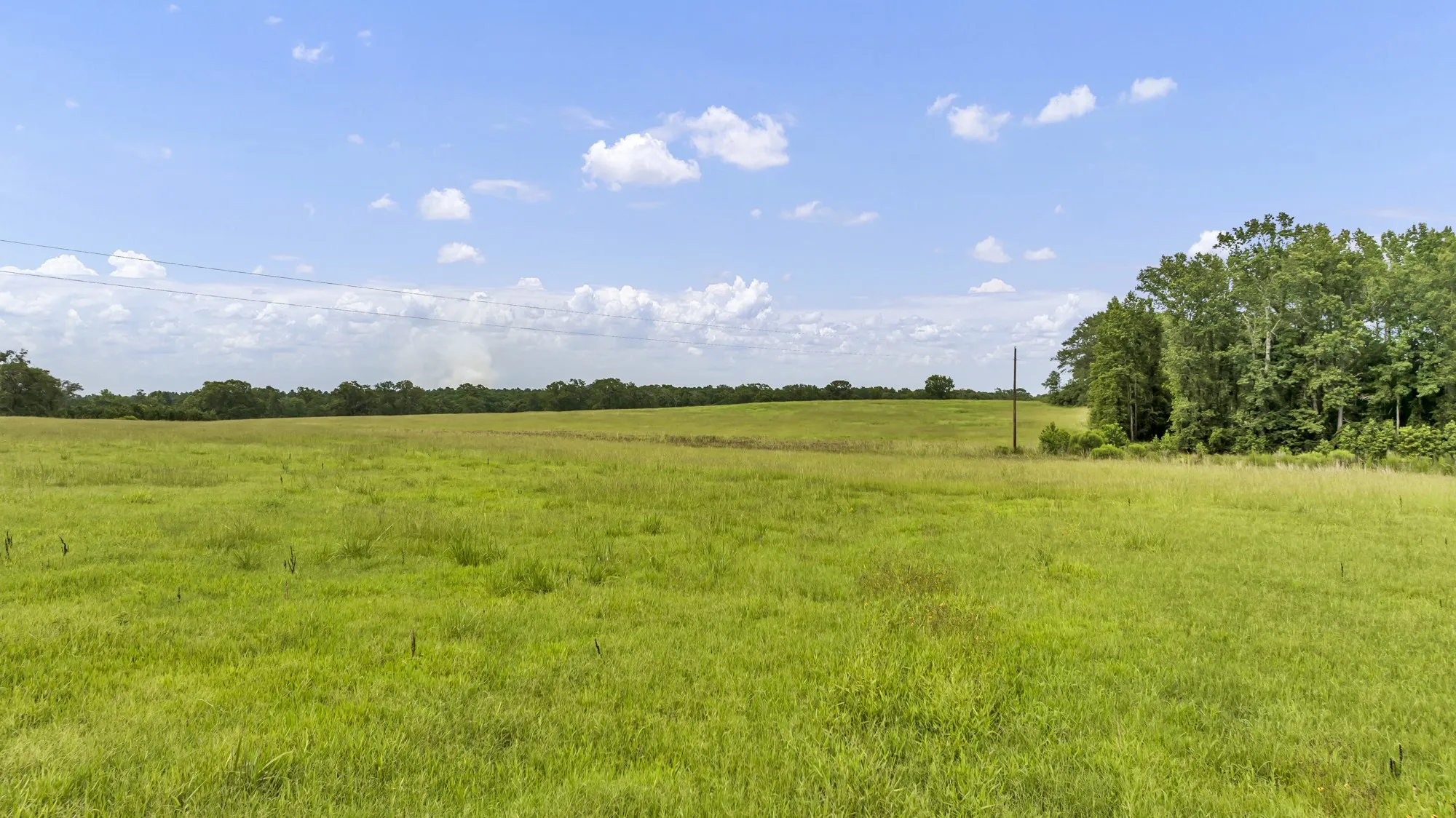 Unimproved Land For Sale in Panola County , TBD County Road 435, No City, Texas 75974, 0, 0, Garage spaces, 0 Sqft, built in 0, mls#21360307, Real Estate Agent in No City, Homes For Sale in Panola county, Homes For Sale in No City, Realtor in No City Texas, Real Estate Brokerage Independent Realty Texas, Luminita Cordes Realtor