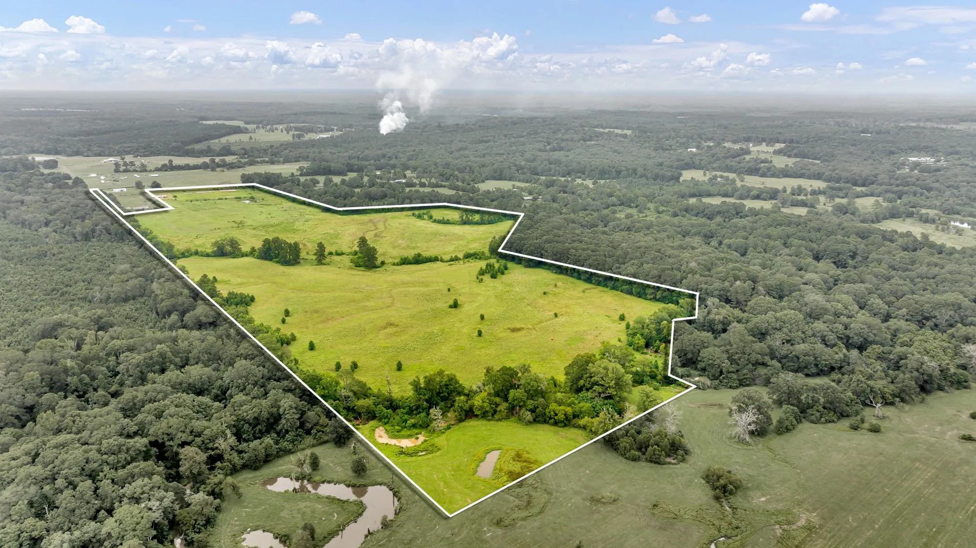 Expansive parcel featuring open grasslands, mature tree lines, and a small body of water