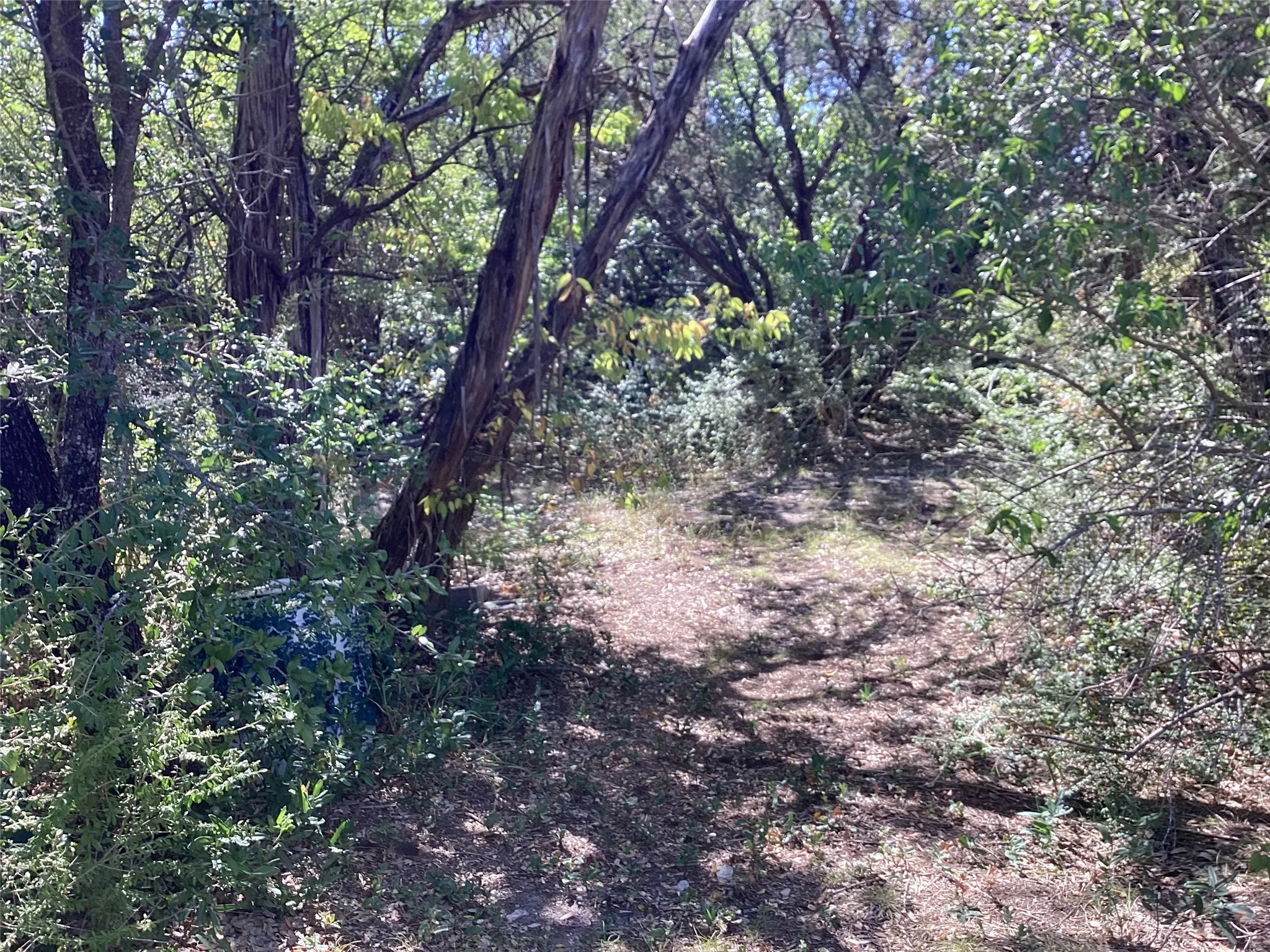 Single Family Residence For Sale in Johnson County , 1225 Cedar Break Court, Cleburne, Texas 76033, 4 Bedroom, 2 Bathroom, Garage spaces, 1,800 Sqft, built in 1996, mls#21360328, Real Estate Agent in Cleburne, Homes For Sale in Johnson county, Homes For Sale in Cleburne, Realtor in Cleburne Texas, Real Estate Brokerage Independent Realty Texas, Luminita Cordes Realtor