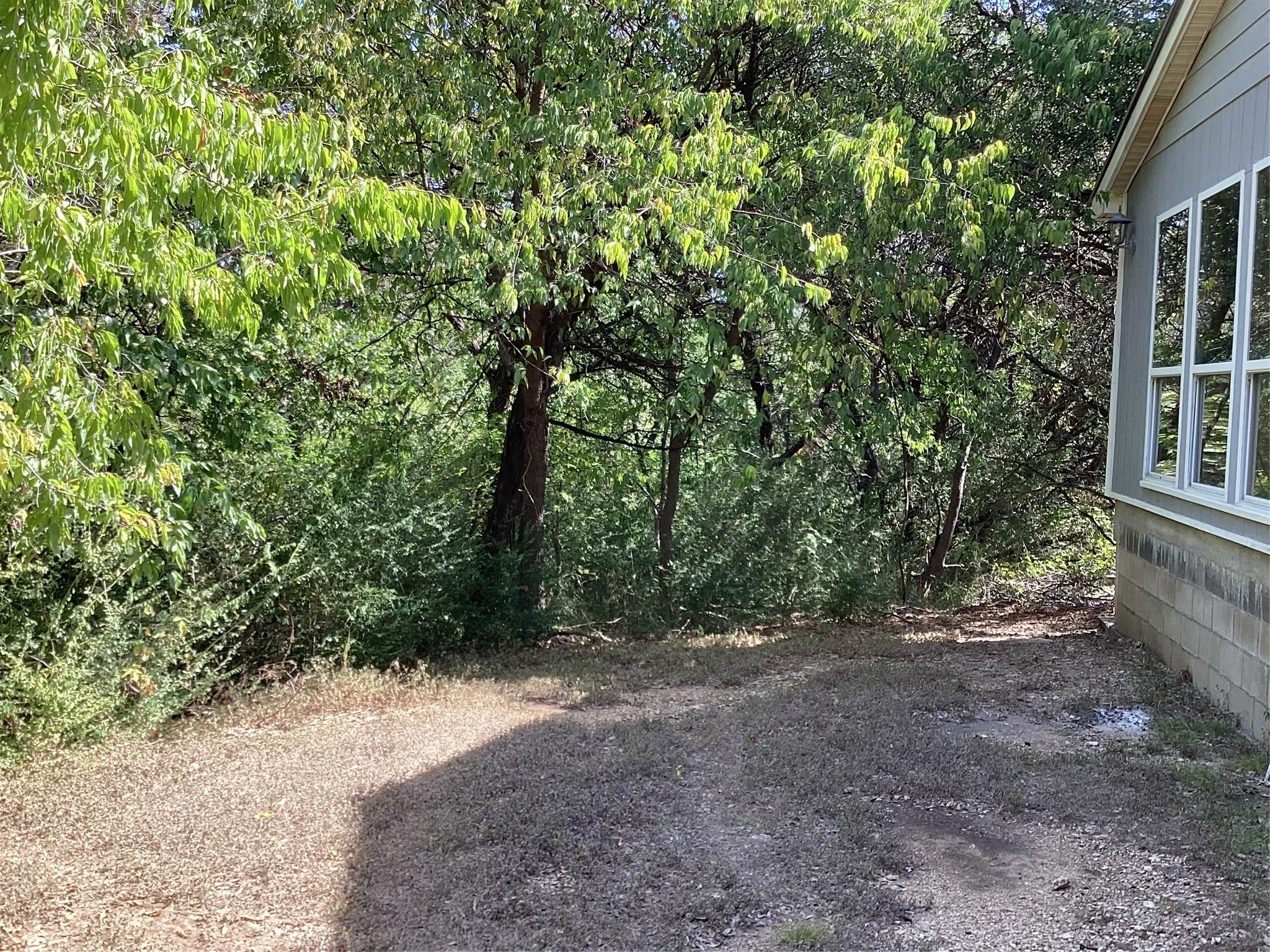 Single Family Residence For Sale in Johnson County , 1225 Cedar Break Court, Cleburne, Texas 76033, 4 Bedroom, 2 Bathroom, Garage spaces, 1,800 Sqft, built in 1996, mls#21360328, Real Estate Agent in Cleburne, Homes For Sale in Johnson county, Homes For Sale in Cleburne, Realtor in Cleburne Texas, Real Estate Brokerage Independent Realty Texas, Luminita Cordes Realtor