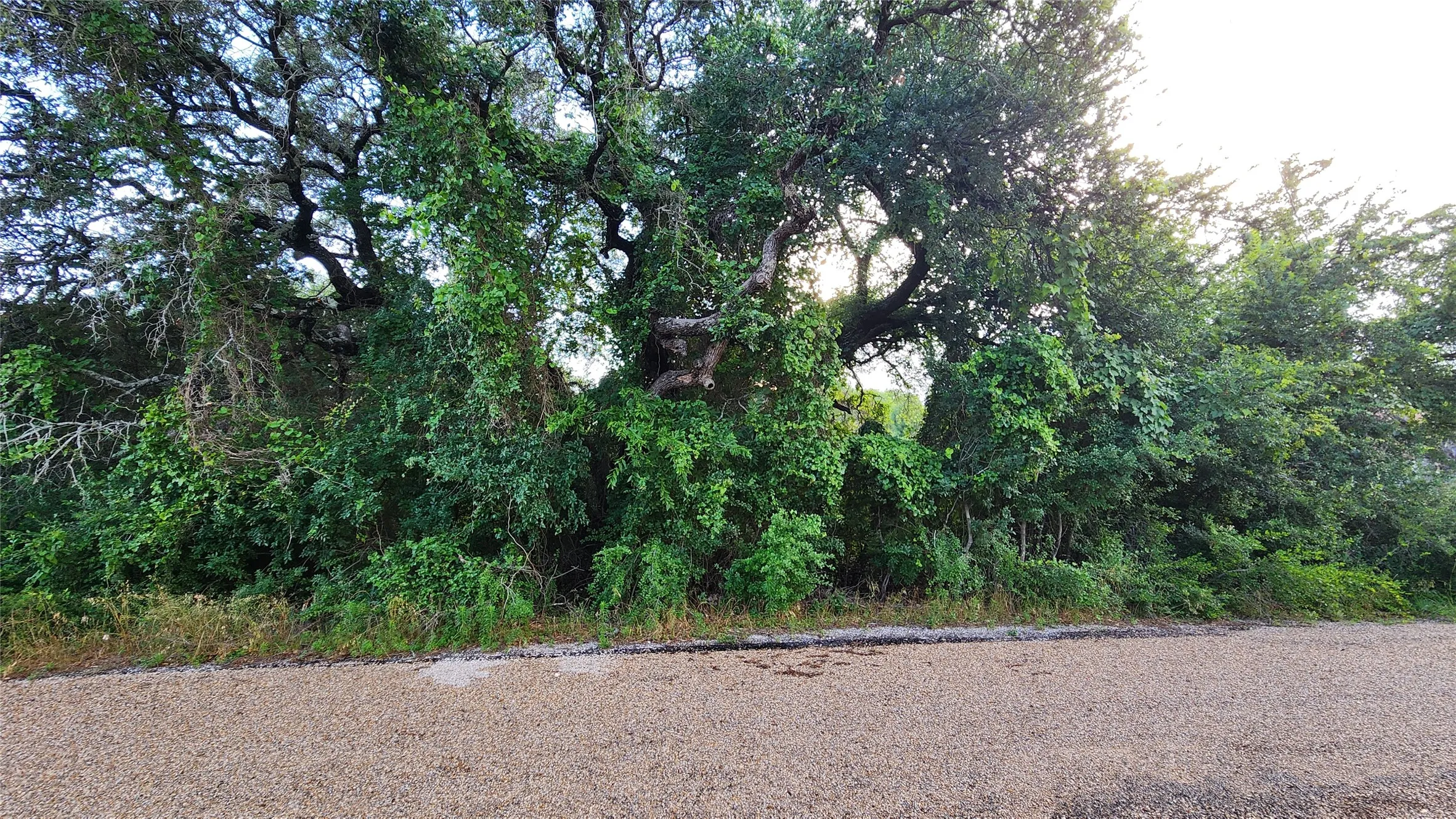 Unimproved Land For Sale in Hood County , 3012 Moon Court, Granbury, Texas 76049, 0, 0, Garage spaces, 0 Sqft, built in 0, Price $30,000, mls#21360332, Real Estate Agent in Granbury, Homes For Sale in Hood county, Homes For Sale in Granbury, Realtor in Granbury Texas, Real Estate Brokerage Independent Realty Texas, Luminita Cordes Realtor