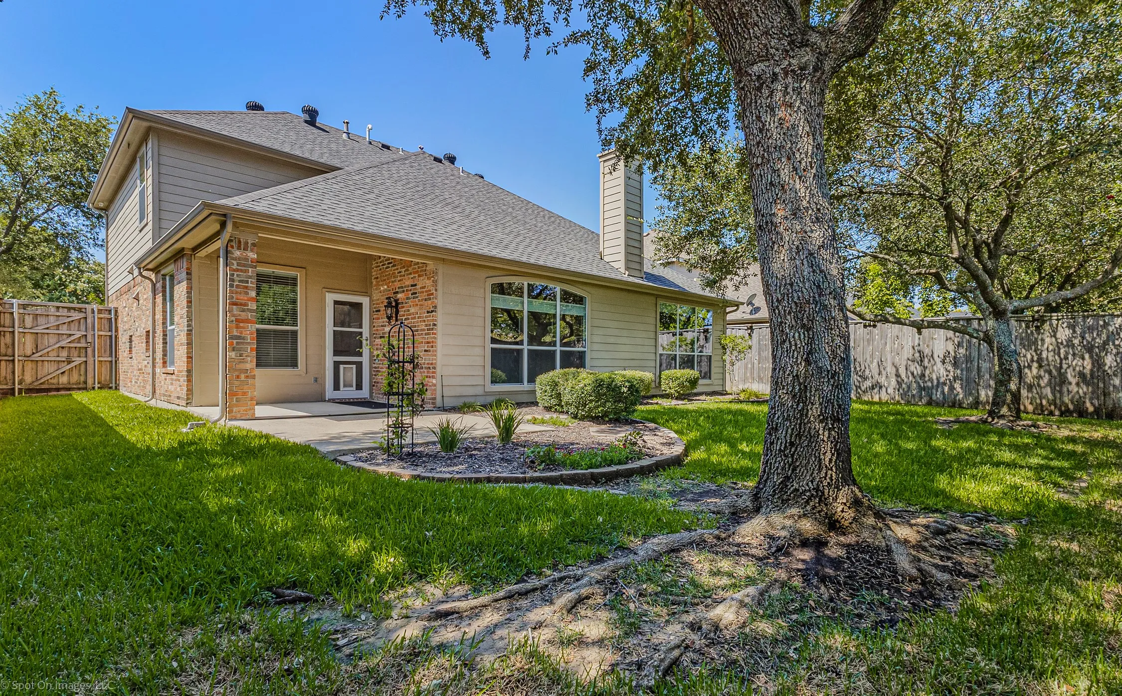 Expansive backyard featuring a mature tree, manicured lawn, and privacy fencing