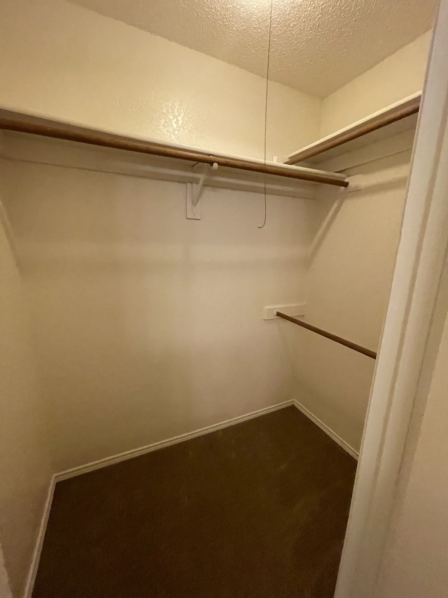 Walk-in closet featuring carpet flooring, multiple shelving units, and clothing rods