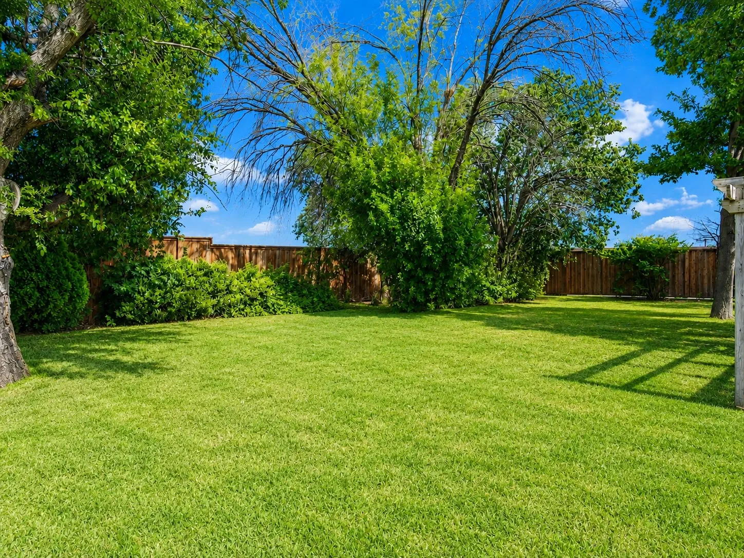 Expansive lawn area surrounded by mature trees and established greenery