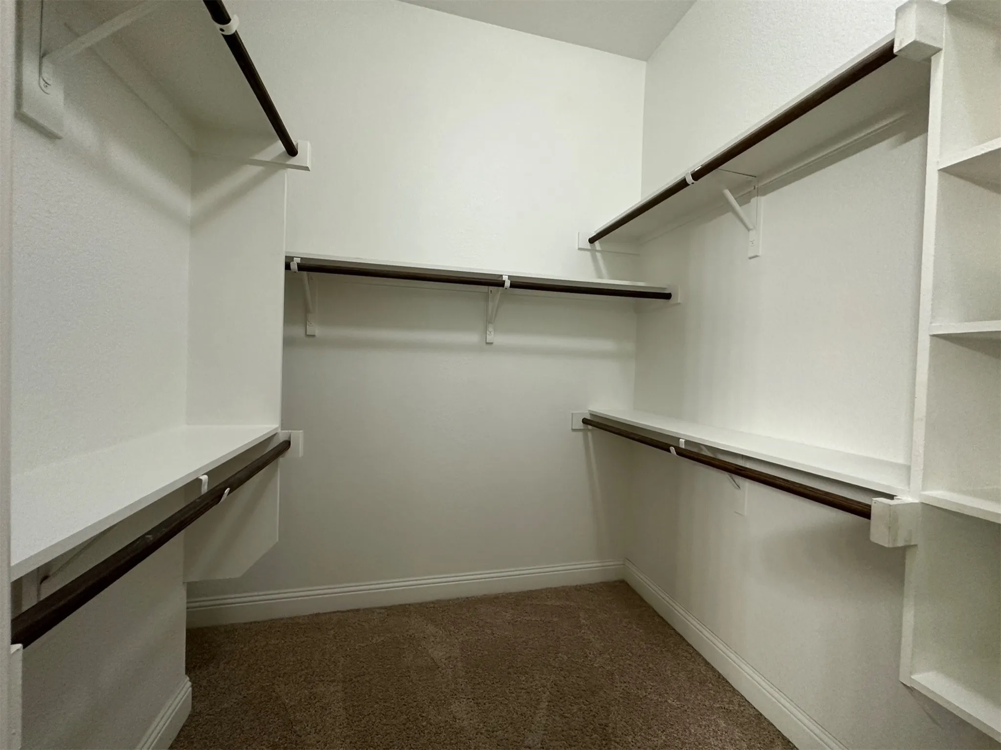 Walk-in closet featuring built-in shelving, multiple hanging rods, white trim, and neutral-toned carpeting