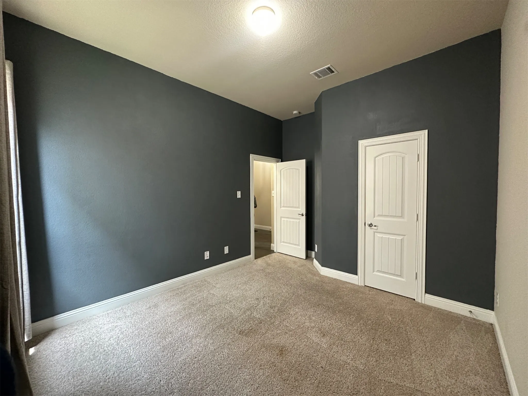 Carpeted interior space featuring dark accent walls and white trim