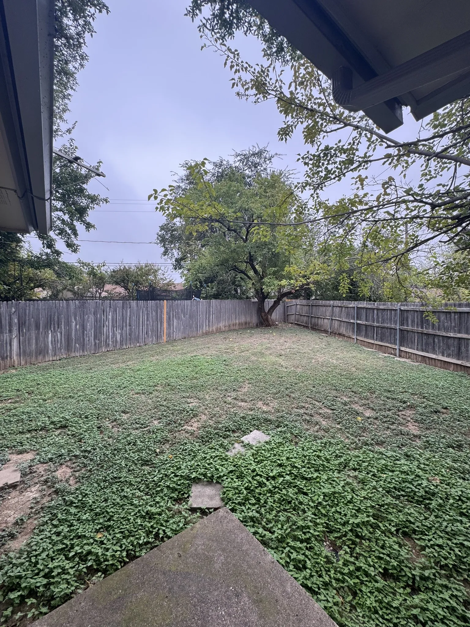 Expansive backyard featuring a mature tree and wood fencing