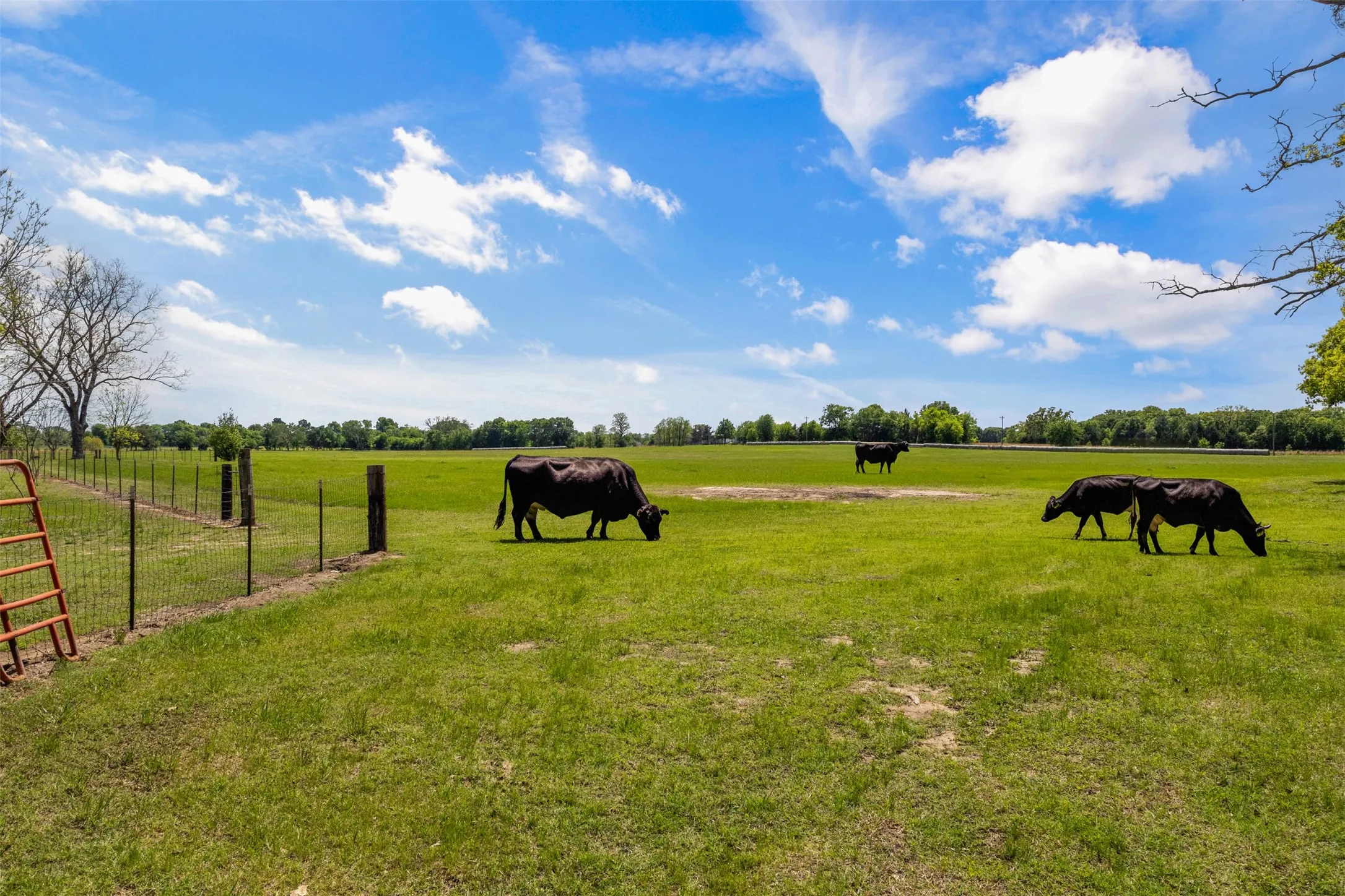 Unimproved Land For Sale in Van Zandt County , 00 B Vz County Road 3208, Wills Point, Texas 75169, 0, 0, Garage spaces, 0 Sqft, built in 0, Price $249,900, mls#21360290, Real Estate Agent in Wills Point, Homes For Sale in Van Zandt county, Homes For Sale in Wills Point, Realtor in Wills Point Texas, Real Estate Brokerage Independent Realty Texas, Luminita Cordes Realtor