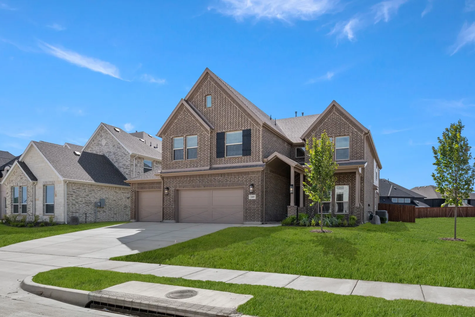 1109 Cowbird- Front-2