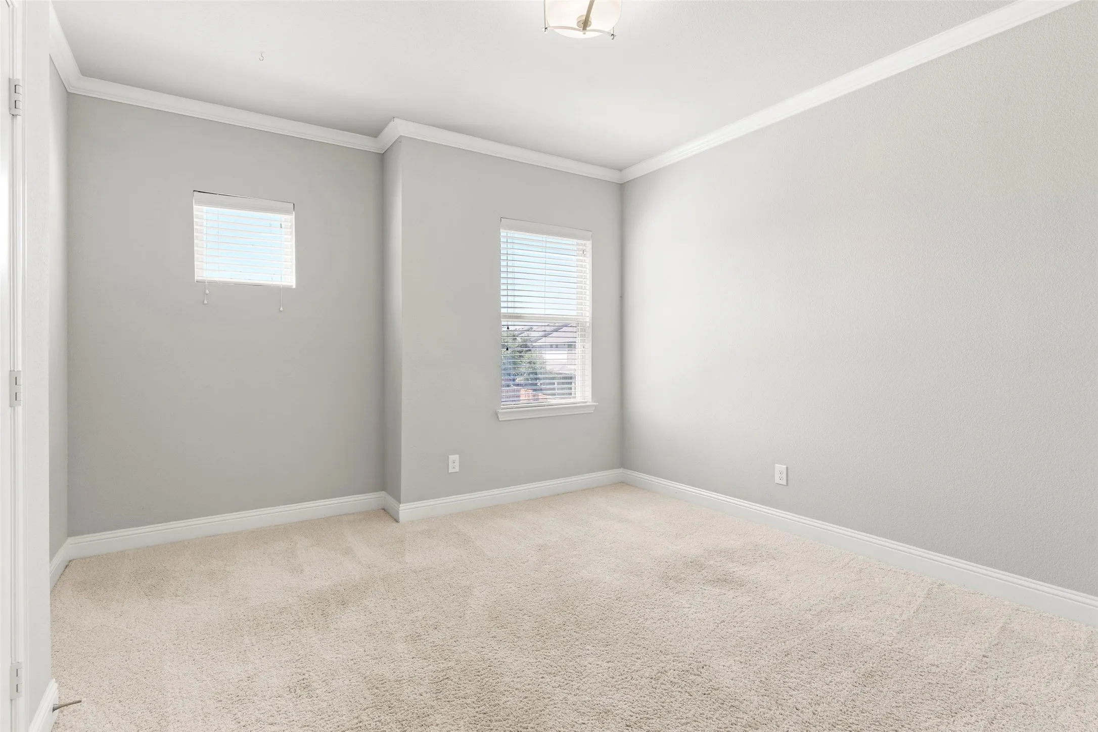 Bright, light-filled bedroom featuring neutral wall finishes, pristine carpeting, and abundant natural light from multiple windows with blinds