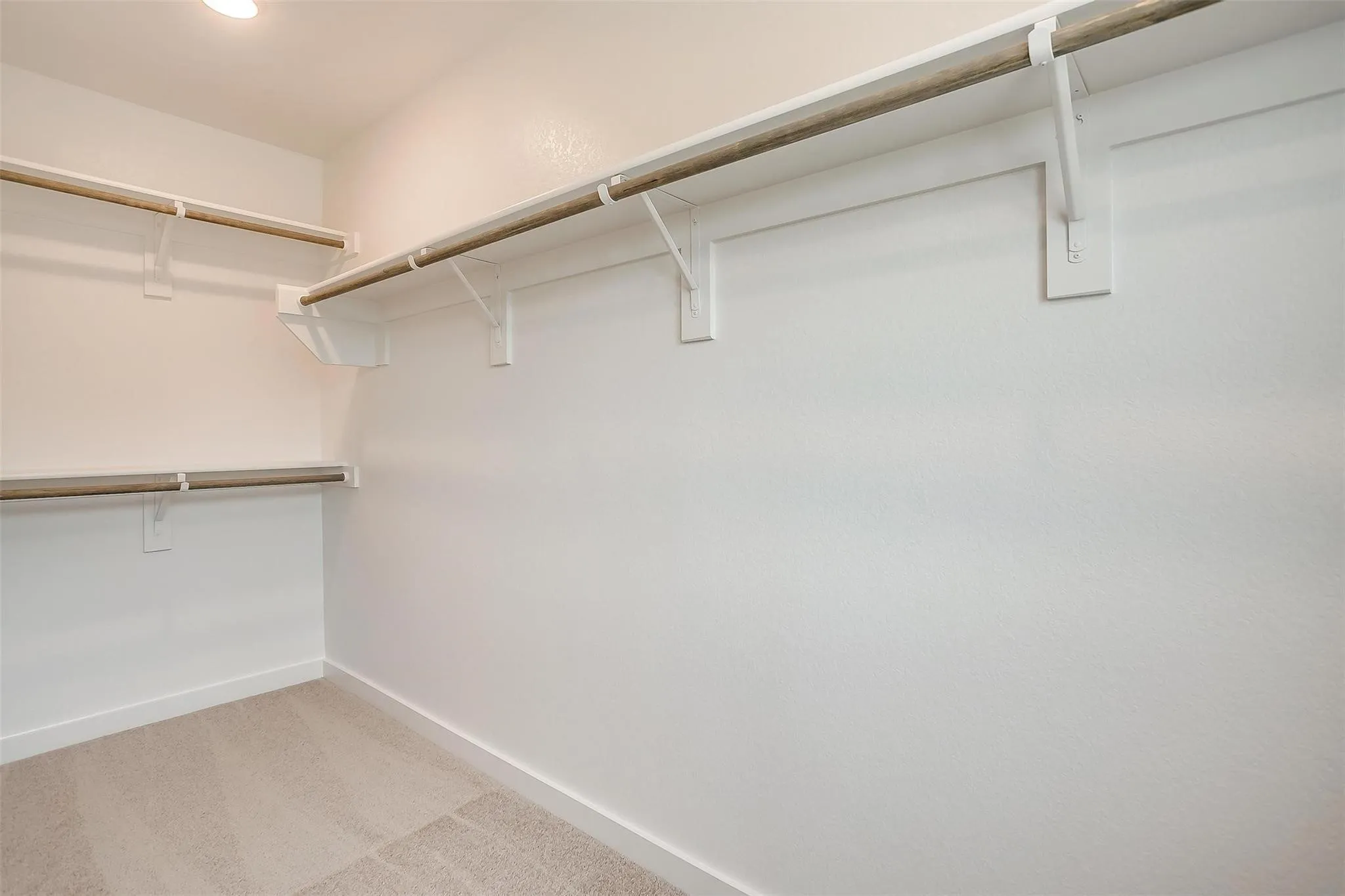 Walk-in closet with carpet flooring, white walls, built-in shelving, and hanging rods