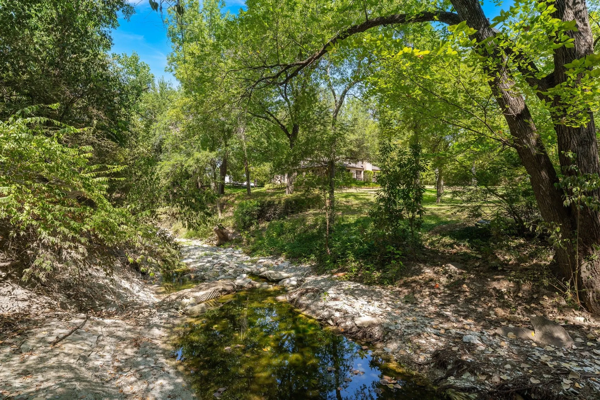 Creek
