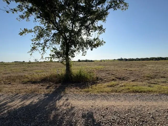 Unimproved Land For Sale in Delta County , 19 County Road 2200, Pecan Gap, Texas 75469, 0, 0, Garage spaces, 0 Sqft, built in 0, mls#21360486, Real Estate Agent in Pecan Gap, Homes For Sale in Delta county, Homes For Sale in Pecan Gap, Realtor in Pecan Gap Texas, Real Estate Brokerage Independent Realty Texas, Luminita Cordes Realtor