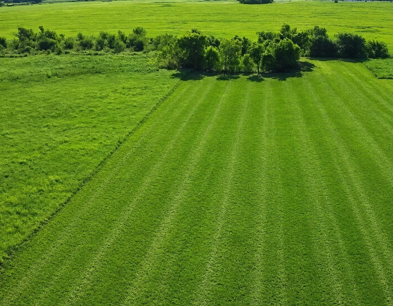Unimproved Land For Sale in Delta County , 19 County Road 2200, Pecan Gap, Texas 75469, 0, 0, Garage spaces, 0 Sqft, built in 0, mls#21360486, Real Estate Agent in Pecan Gap, Homes For Sale in Delta county, Homes For Sale in Pecan Gap, Realtor in Pecan Gap Texas, Real Estate Brokerage Independent Realty Texas, Luminita Cordes Realtor