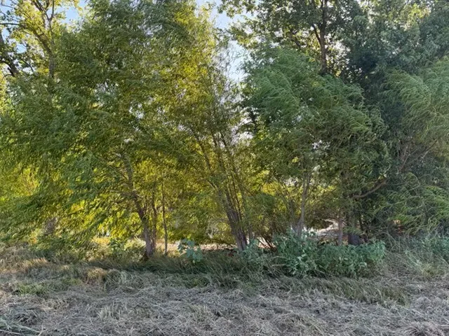 Unimproved Land For Sale in Delta County , 19 County Road 2200, Pecan Gap, Texas 75469, 0, 0, Garage spaces, 0 Sqft, built in 0, mls#21360486, Real Estate Agent in Pecan Gap, Homes For Sale in Delta county, Homes For Sale in Pecan Gap, Realtor in Pecan Gap Texas, Real Estate Brokerage Independent Realty Texas, Luminita Cordes Realtor
