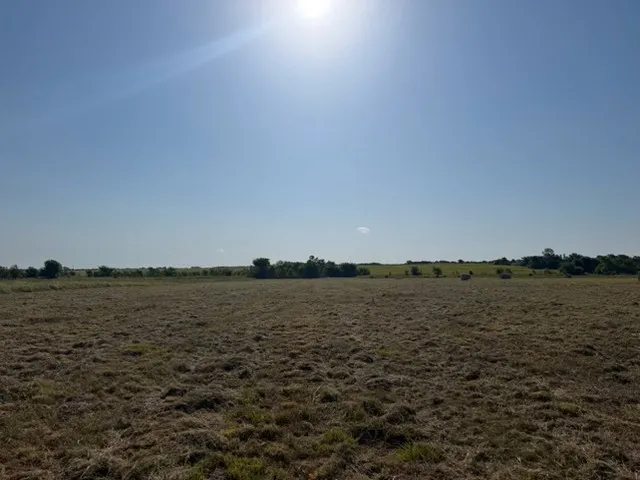 Unimproved Land For Sale in Delta County , 19 County Road 2200, Pecan Gap, Texas 75469, 0, 0, Garage spaces, 0 Sqft, built in 0, mls#21360486, Real Estate Agent in Pecan Gap, Homes For Sale in Delta county, Homes For Sale in Pecan Gap, Realtor in Pecan Gap Texas, Real Estate Brokerage Independent Realty Texas, Luminita Cordes Realtor