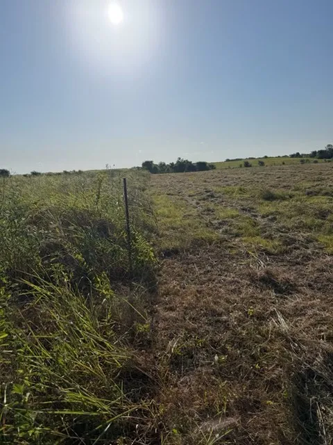 Unimproved Land For Sale in Delta County , 19 County Road 2200, Pecan Gap, Texas 75469, 0, 0, Garage spaces, 0 Sqft, built in 0, mls#21360486, Real Estate Agent in Pecan Gap, Homes For Sale in Delta county, Homes For Sale in Pecan Gap, Realtor in Pecan Gap Texas, Real Estate Brokerage Independent Realty Texas, Luminita Cordes Realtor