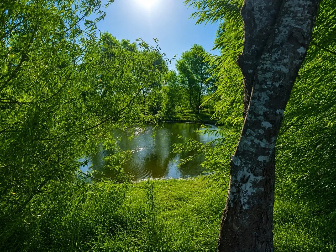 Unimproved Land For Sale in Delta County , 19 County Road 2200, Pecan Gap, Texas 75469, 0, 0, Garage spaces, 0 Sqft, built in 0, mls#21360486, Real Estate Agent in Pecan Gap, Homes For Sale in Delta county, Homes For Sale in Pecan Gap, Realtor in Pecan Gap Texas, Real Estate Brokerage Independent Realty Texas, Luminita Cordes Realtor