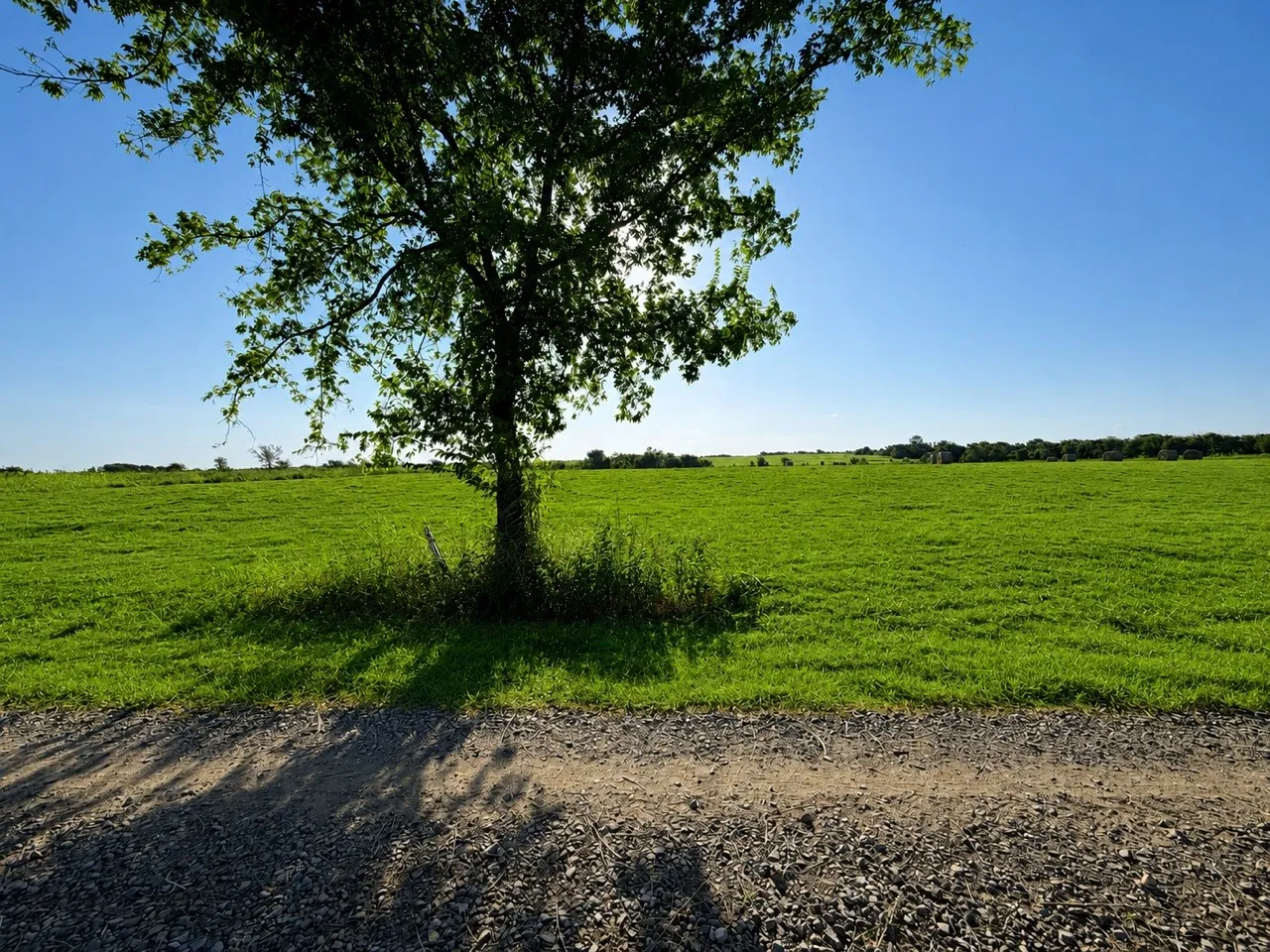 Unimproved Land For Sale in Delta County , 19 County Road 2200, Pecan Gap, Texas 75469, 0, 0, Garage spaces, 0 Sqft, built in 0, mls#21360486, Real Estate Agent in Pecan Gap, Homes For Sale in Delta county, Homes For Sale in Pecan Gap, Realtor in Pecan Gap Texas, Real Estate Brokerage Independent Realty Texas, Luminita Cordes Realtor