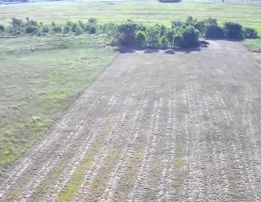 Unimproved Land For Sale in Delta County , 19 County Road 2200, Pecan Gap, Texas 75469, 0, 0, Garage spaces, 0 Sqft, built in 0, mls#21360486, Real Estate Agent in Pecan Gap, Homes For Sale in Delta county, Homes For Sale in Pecan Gap, Realtor in Pecan Gap Texas, Real Estate Brokerage Independent Realty Texas, Luminita Cordes Realtor