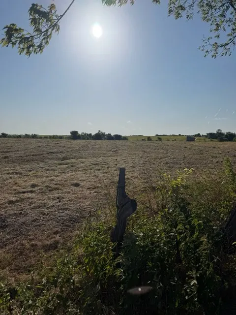 Unimproved Land For Sale in Delta County , 19 County Road 2200, Pecan Gap, Texas 75469, 0, 0, Garage spaces, 0 Sqft, built in 0, mls#21360486, Real Estate Agent in Pecan Gap, Homes For Sale in Delta county, Homes For Sale in Pecan Gap, Realtor in Pecan Gap Texas, Real Estate Brokerage Independent Realty Texas, Luminita Cordes Realtor