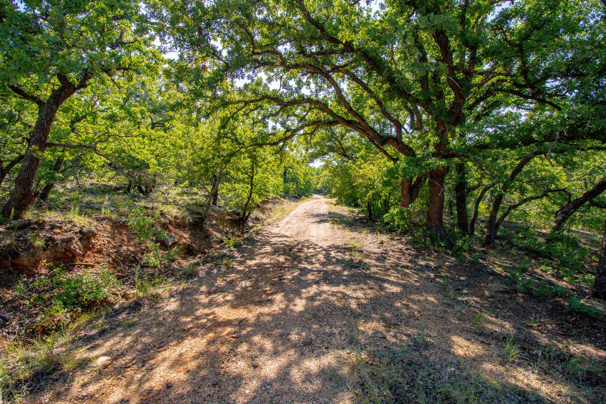 Ranch For Sale in Jack County , 8921 FM 4, Jacksboro, Texas 76458, 0, 0, Garage spaces, 0 Sqft, built in 0, mls#21360564, Real Estate Agent in Jacksboro, Homes For Sale in Jack county, Homes For Sale in Jacksboro, Realtor in Jacksboro Texas, Real Estate Brokerage Independent Realty Texas, Luminita Cordes Realtor