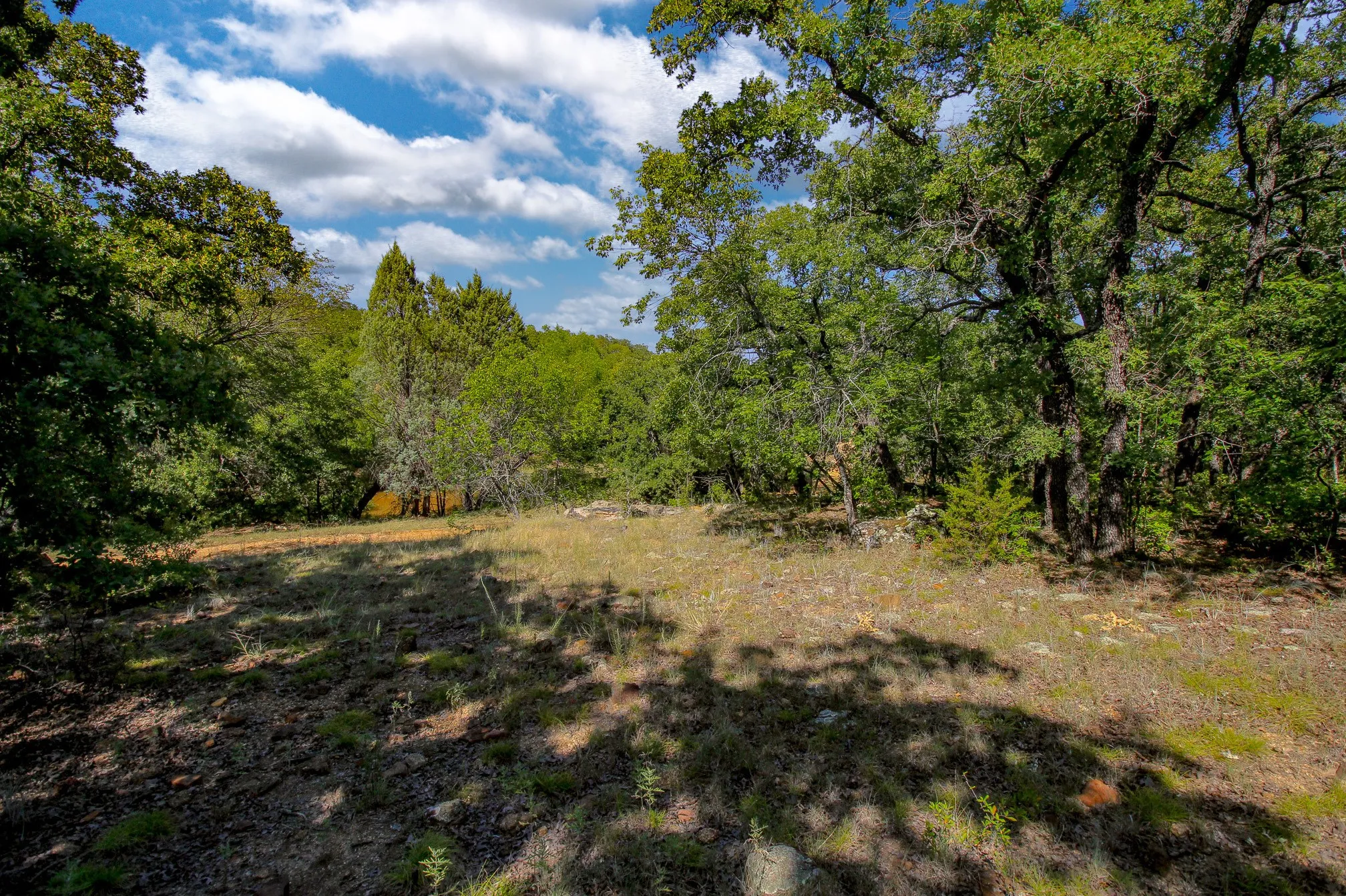 Ranch For Sale in Jack County , 8921 FM 4, Jacksboro, Texas 76458, 0, 0, Garage spaces, 0 Sqft, built in 0, mls#21360564, Real Estate Agent in Jacksboro, Homes For Sale in Jack county, Homes For Sale in Jacksboro, Realtor in Jacksboro Texas, Real Estate Brokerage Independent Realty Texas, Luminita Cordes Realtor