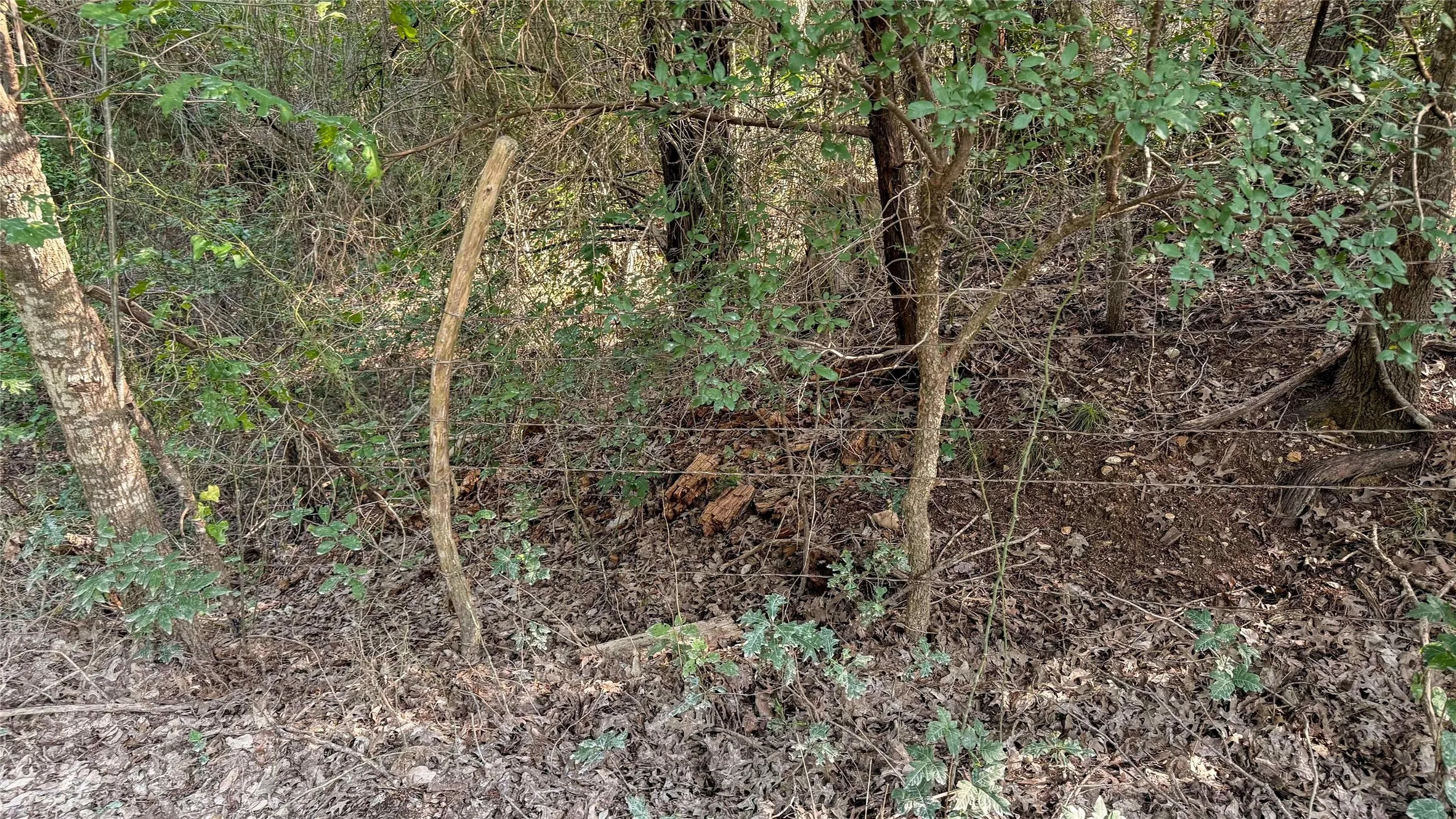 Unimproved Land For Sale in Mc Lennan County , 2168 Patrick Crossing, Waco, Texas 76708, 0, 0, Garage spaces, 0 Sqft, built in 0, Price $94,900, mls#21360593, Real Estate Agent in Waco, Homes For Sale in Mc Lennan county, Homes For Sale in Waco, Realtor in Waco Texas, Real Estate Brokerage Independent Realty Texas, Luminita Cordes Realtor