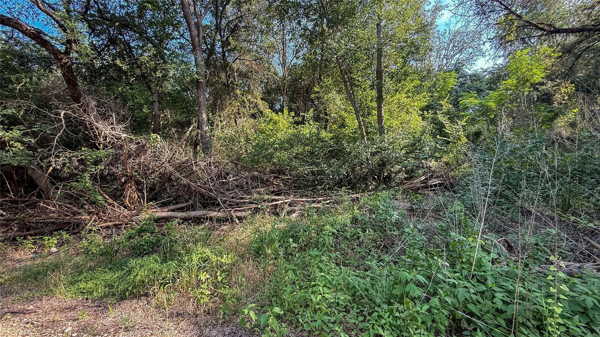Unimproved Land For Sale in Mc Lennan County , 2168 Patrick Crossing, Waco, Texas 76708, 0, 0, Garage spaces, 0 Sqft, built in 0, Price $94,900, mls#21360593, Real Estate Agent in Waco, Homes For Sale in Mc Lennan county, Homes For Sale in Waco, Realtor in Waco Texas, Real Estate Brokerage Independent Realty Texas, Luminita Cordes Realtor