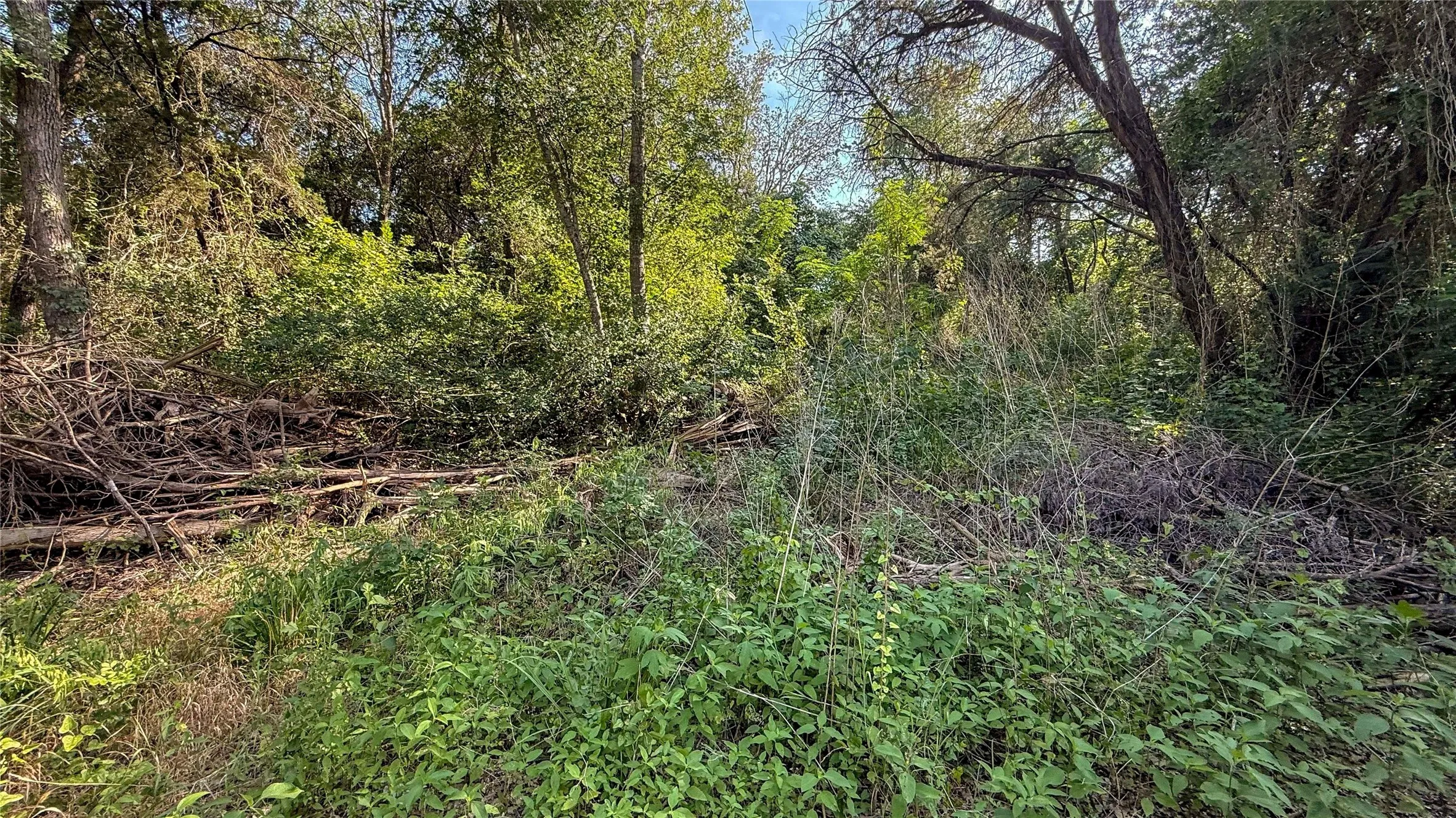 Unimproved Land For Sale in Mc Lennan County , 2168 Patrick Crossing, Waco, Texas 76708, 0, 0, Garage spaces, 0 Sqft, built in 0, Price $94,900, mls#21360593, Real Estate Agent in Waco, Homes For Sale in Mc Lennan county, Homes For Sale in Waco, Realtor in Waco Texas, Real Estate Brokerage Independent Realty Texas, Luminita Cordes Realtor