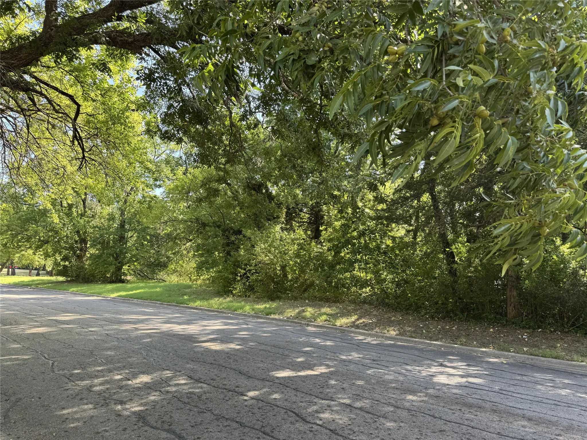 Unimproved Land For Sale in Grayson County , TBD W Crawford Street, Denison, Texas 75020, 0, 0, Garage spaces, 0 Sqft, built in 0, Price $250,000, mls#21360637, Real Estate Agent in Denison, Homes For Sale in Grayson county, Homes For Sale in Denison, Realtor in Denison Texas, Real Estate Brokerage Independent Realty Texas, Luminita Cordes Realtor