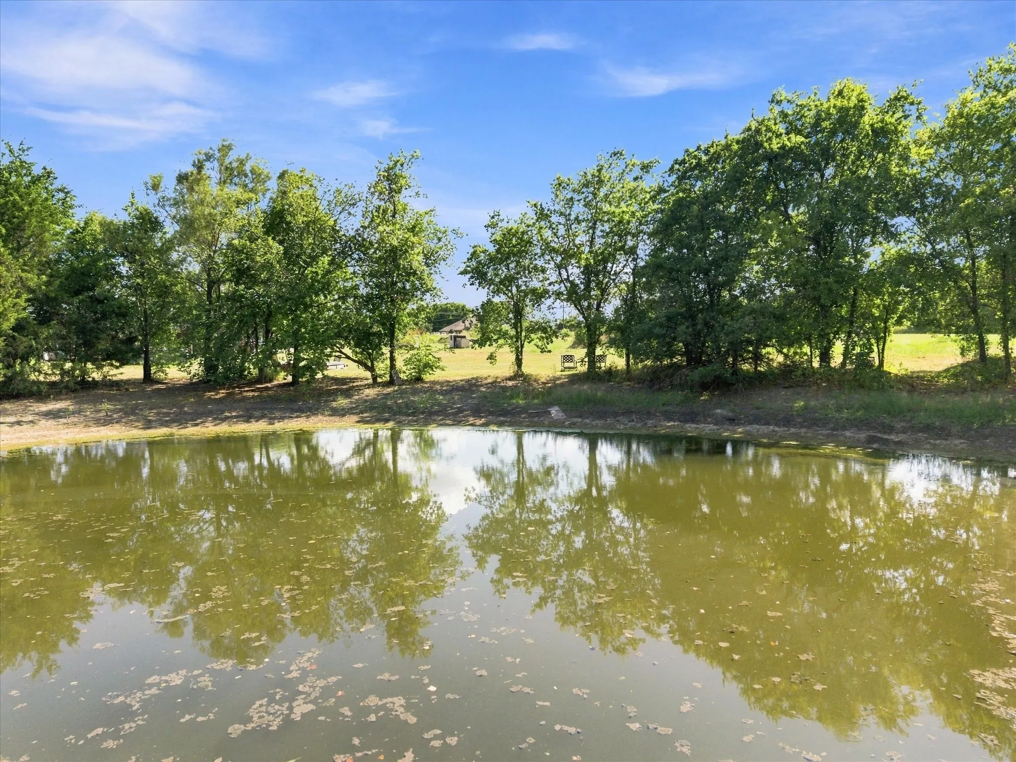 Pond
